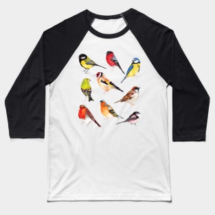 British Garden Birds Collection Baseball T-Shirt